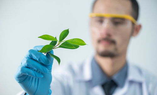腎虛怎么辦 4物是腎臟的 加油站 ,常吃,腎臟越來(lái)越健康