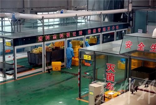 記者探訪邯鄲醫(yī)療廢物處置工廠 他們是消滅新冠病毒的最后把關(guān)人